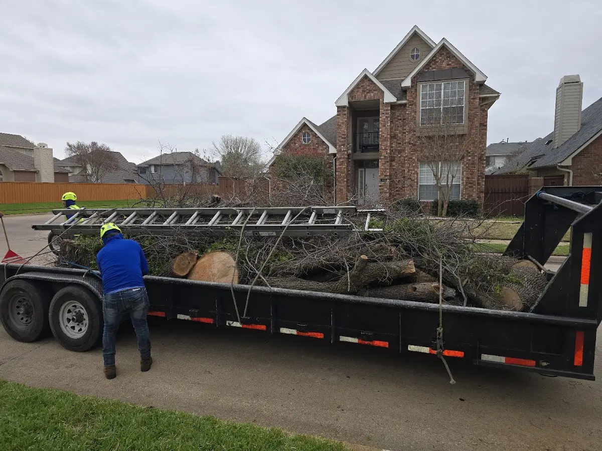 Expert Tree Fertilization with proper safety equipment in Newark